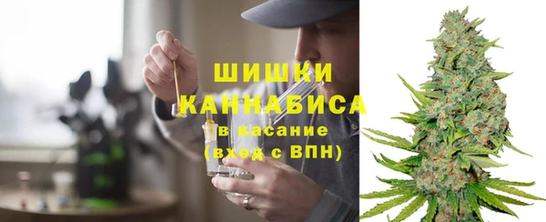 ПСИЛОЦИБИНОВЫЕ ГРИБЫ Алексеевка