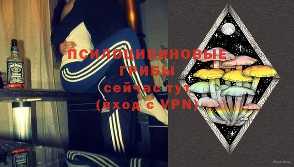 ПСИЛОЦИБИНОВЫЕ ГРИБЫ Алексеевка