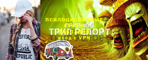 ПСИЛОЦИБИНОВЫЕ ГРИБЫ Алексеевка