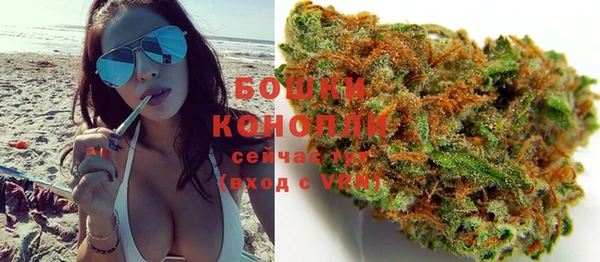 ПСИЛОЦИБИНОВЫЕ ГРИБЫ Алексеевка