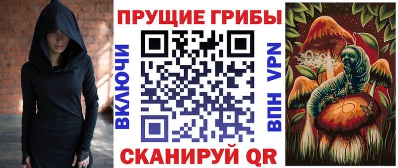 Псилоцибиновые грибы Psilocybe  darknet формула  Любань  гидра сайт 